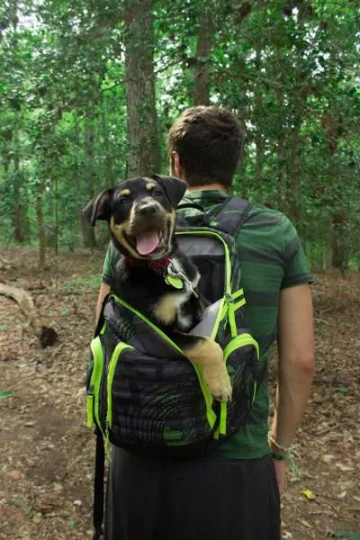 Picdump 68 - #52 