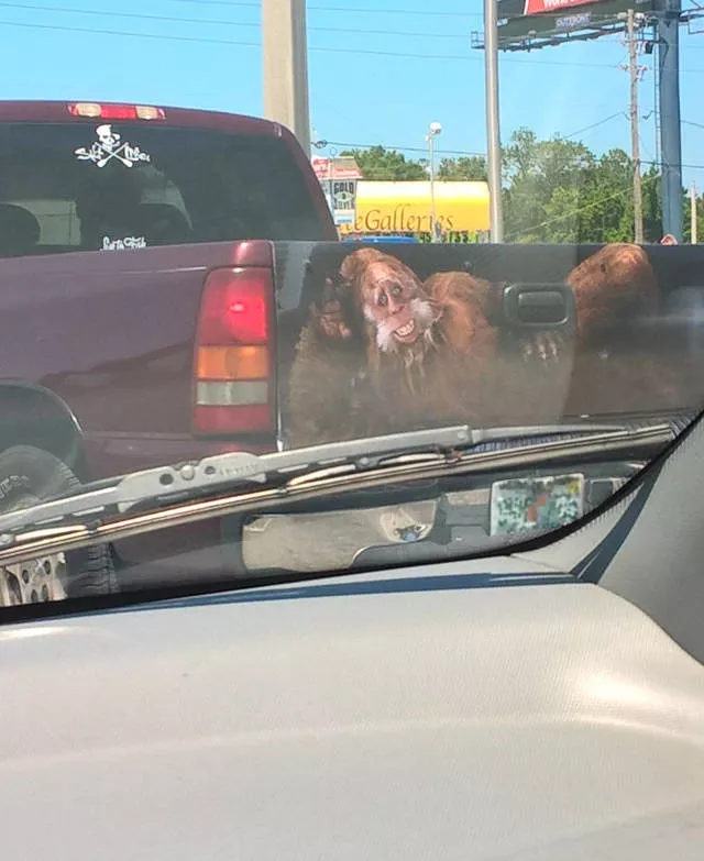 Picdump 370 - #12 