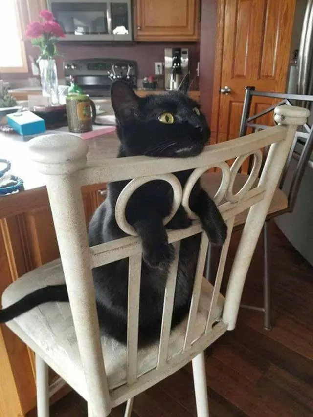 Picdump 370 - #35 