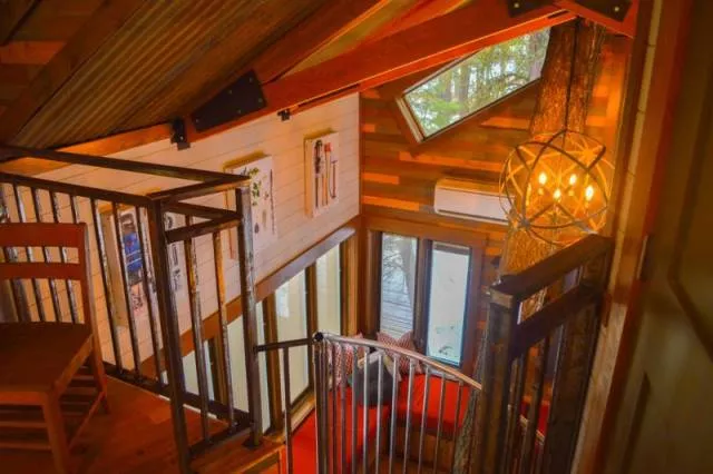 The most luxurious treehouse - #15 