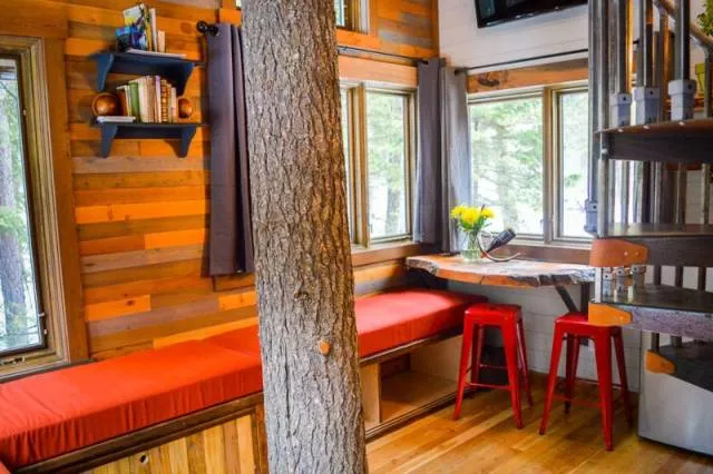 The most luxurious treehouse - #17 