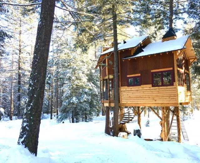 The most luxurious treehouse - #4 