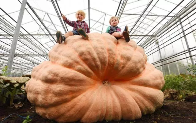 Picdump 371 - #16 