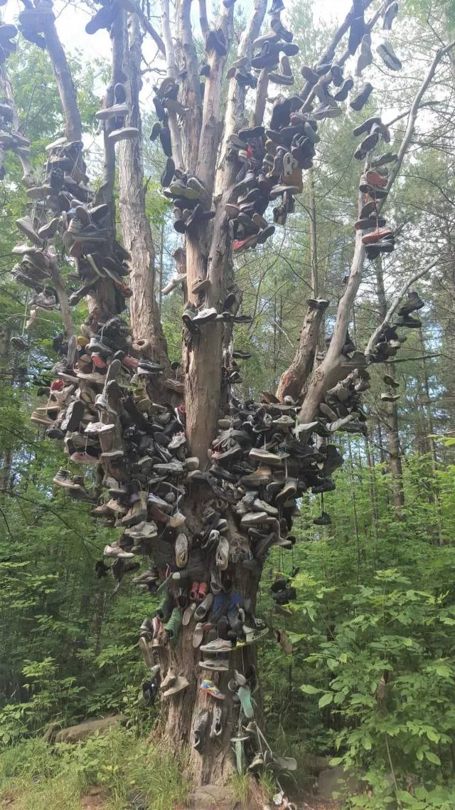 Picdump 371 - #22 