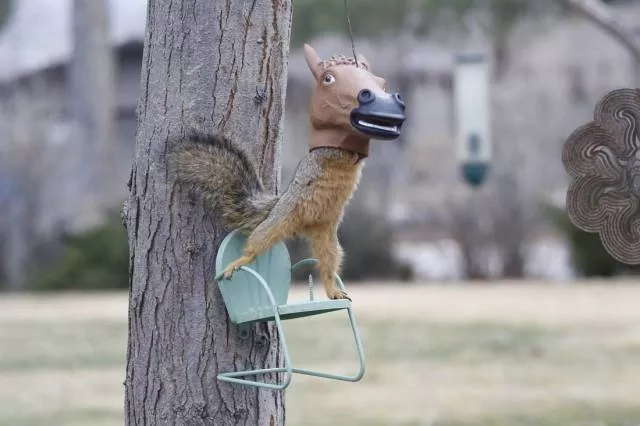 Picdump 371 - #24 