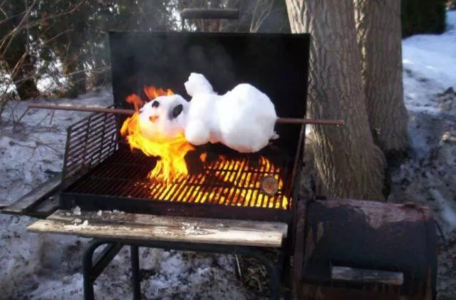 Picdump 371 - #31 