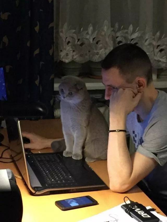 Picdump 371 - #37 