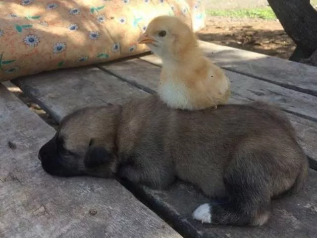 Picdump 371 - #5 