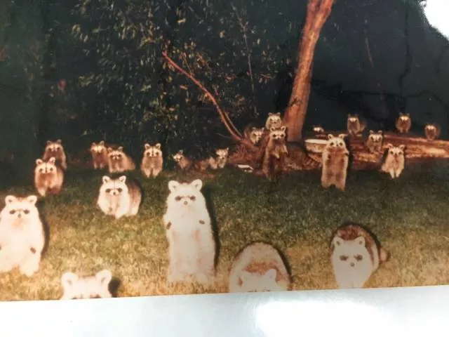 Picdump 371 - #56 