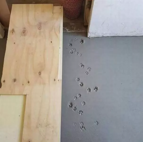 Picdump 371 - #65 