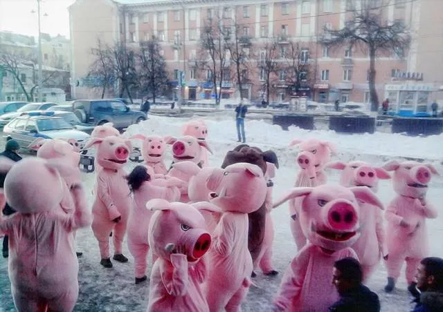 Picdump 371 - #71 