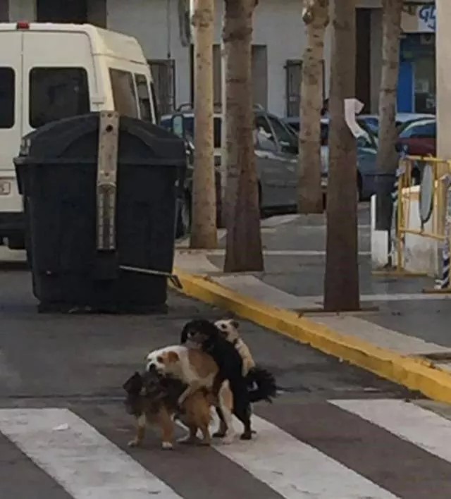 Picdump 371 - #74 