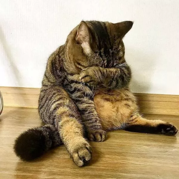 Picdump 371 - #78 