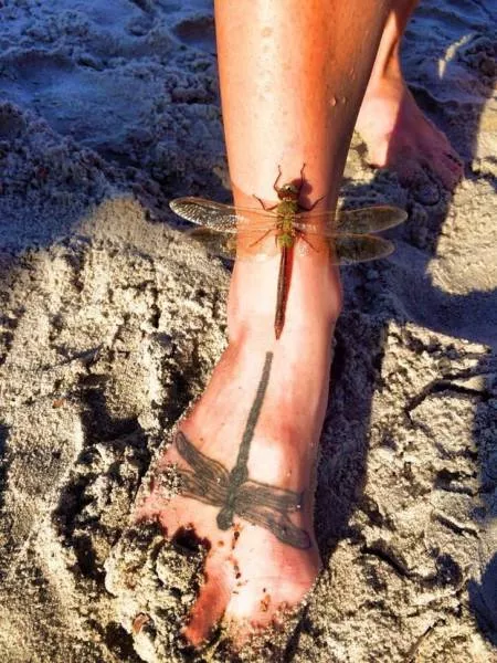 Coincidences so strong they seem fake - #39 