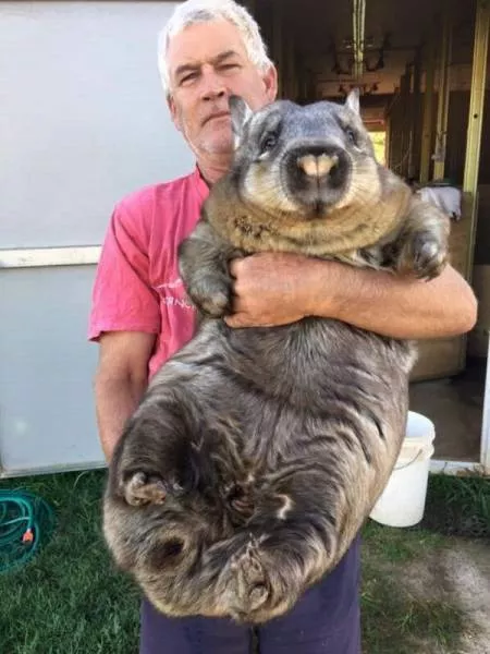 Picdump 69 - #16 