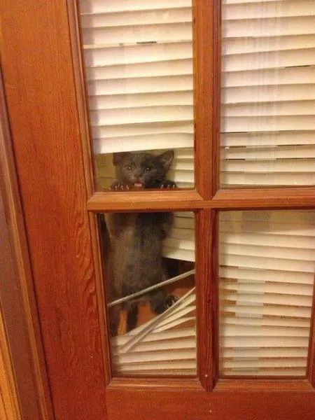 Picdump 69 - #26 