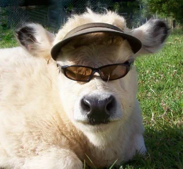 Picdump 69 - #30 