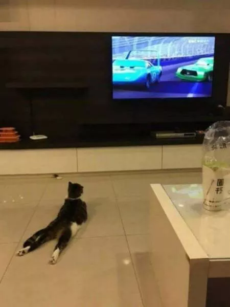 Picdump 69 - #31 
