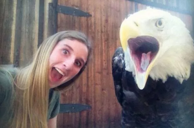 Picdump 69 - #44 