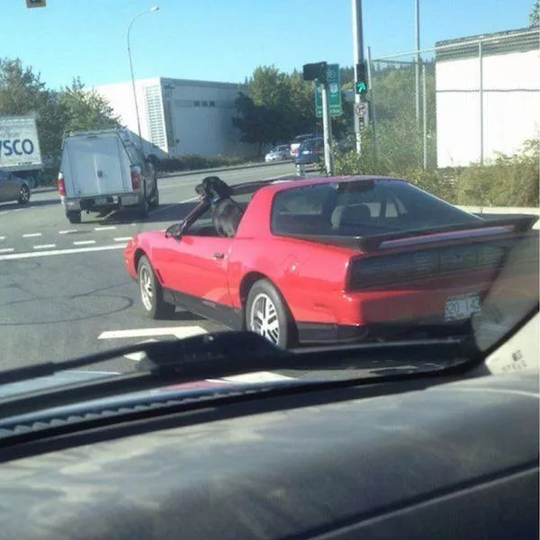 Picdump 69 - #7 