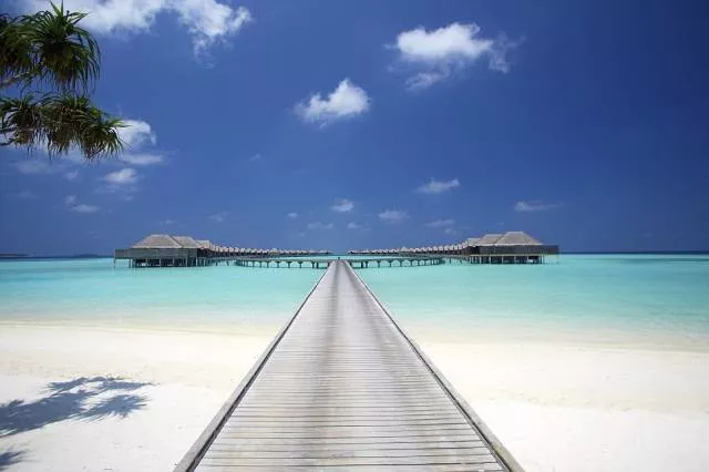 The most luxurious hotels - #4 