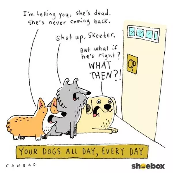 Reserved for dog owners - #16 