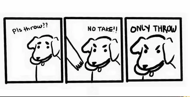 Reserved for dog owners - #19 