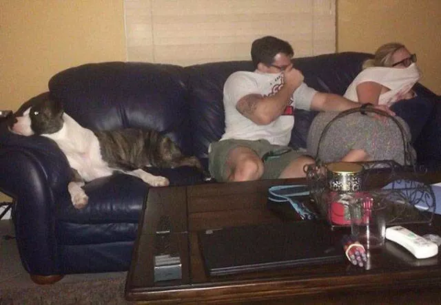 Reserved for dog owners