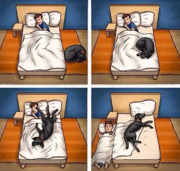 Reserved for dog owners - #9 