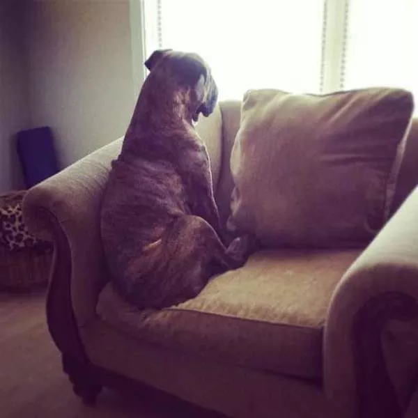 Picdump 373 - #43 
