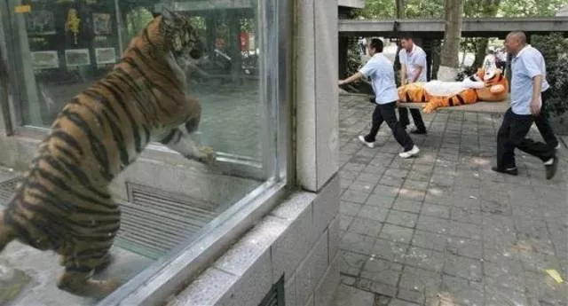 Le meilleur des photos les plus epiques de wtf - #27 