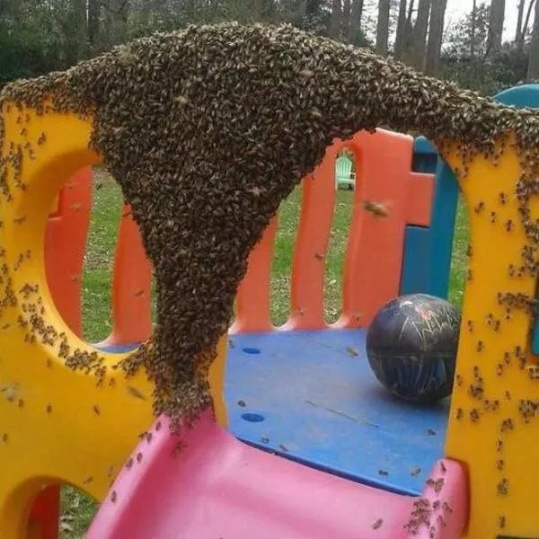 Le meilleur des photos les plus epiques de wtf - #36 