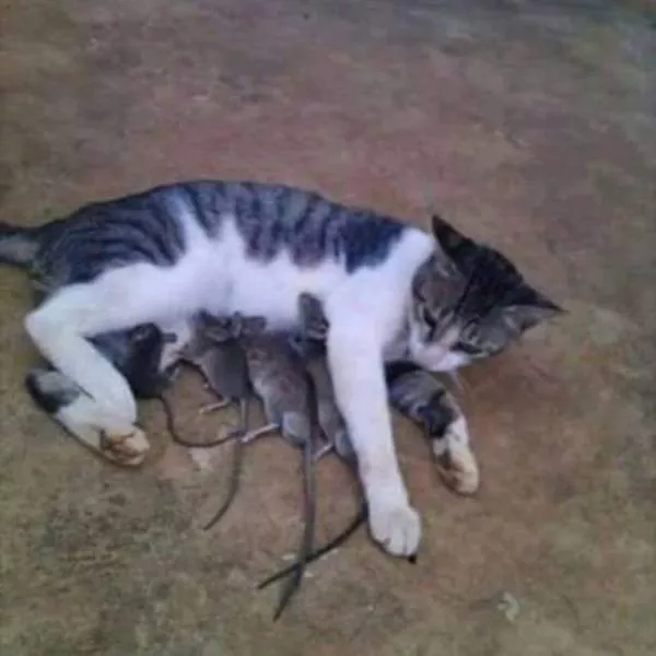 Le meilleur des photos les plus epiques de wtf - #43 