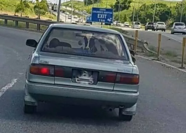 Le meilleur des photos les plus epiques de wtf - #44 