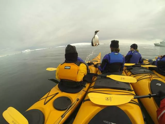 Picdump 374 - #14 