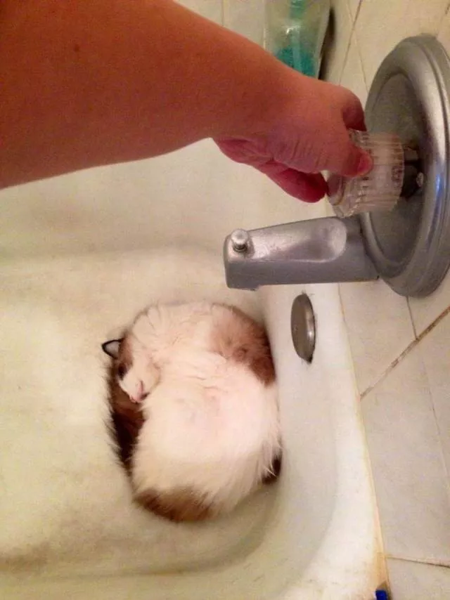 Picdump 374 - #18 