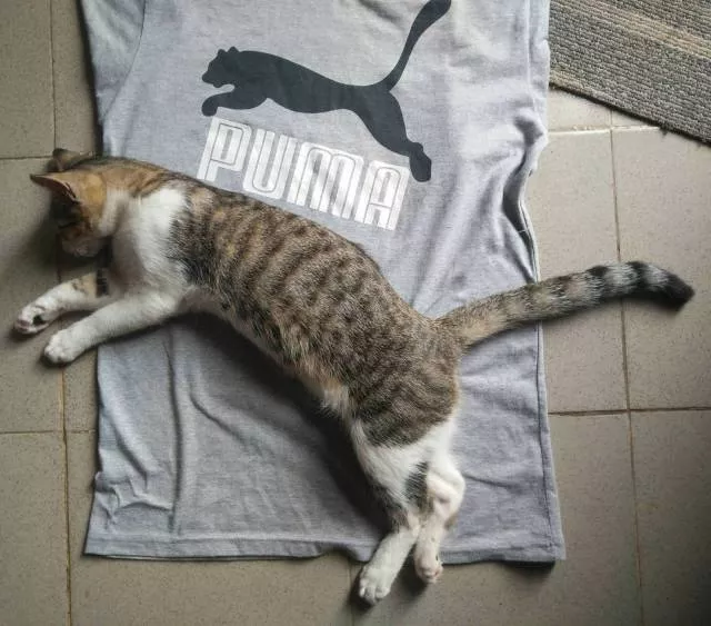 Picdump 374 - #31 