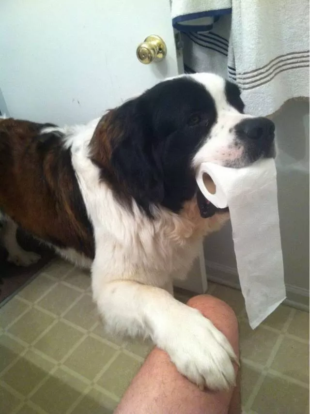 Picdump 374 - #32 