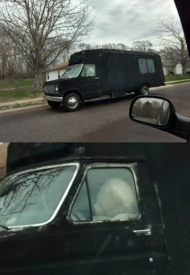 Picdump 374 - #40 