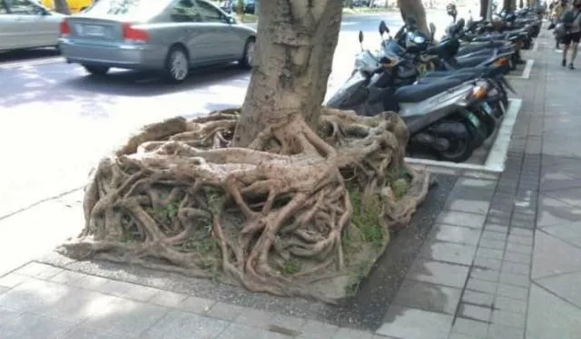 Picdump 374 - #76 