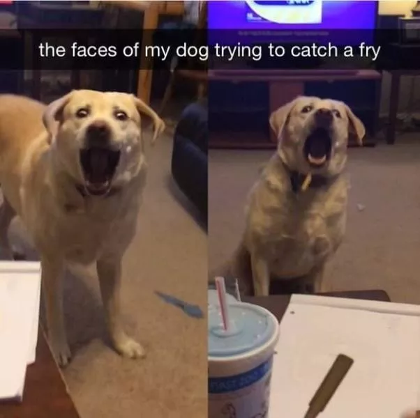 Try not to laugh - #10 