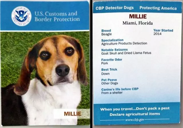 Very original business cards - #5 