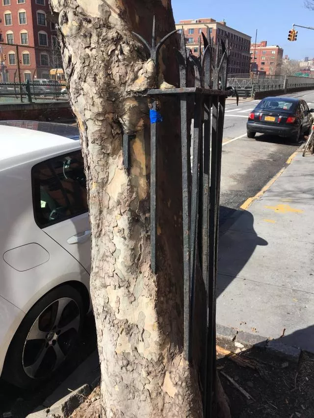Picdump 376 - #23 