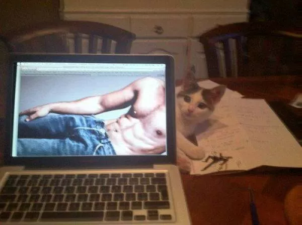 Picdump 376 - #42 