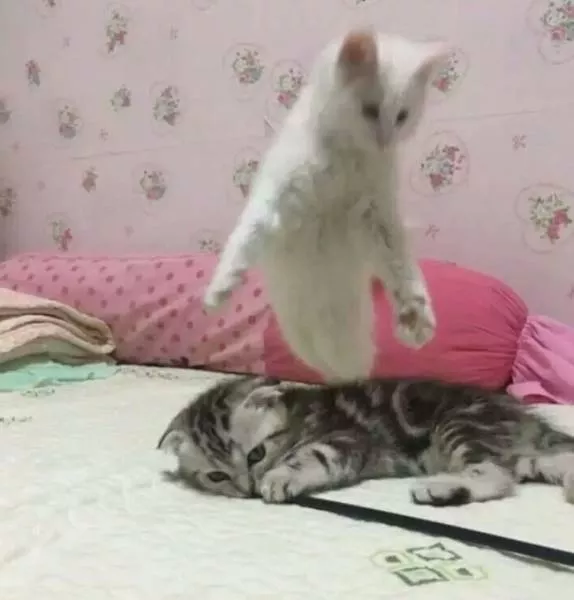 Look twice - #27 