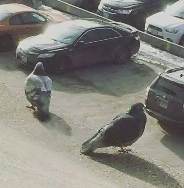 Look twice - #35 