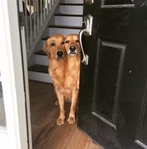 Look twice - #7 