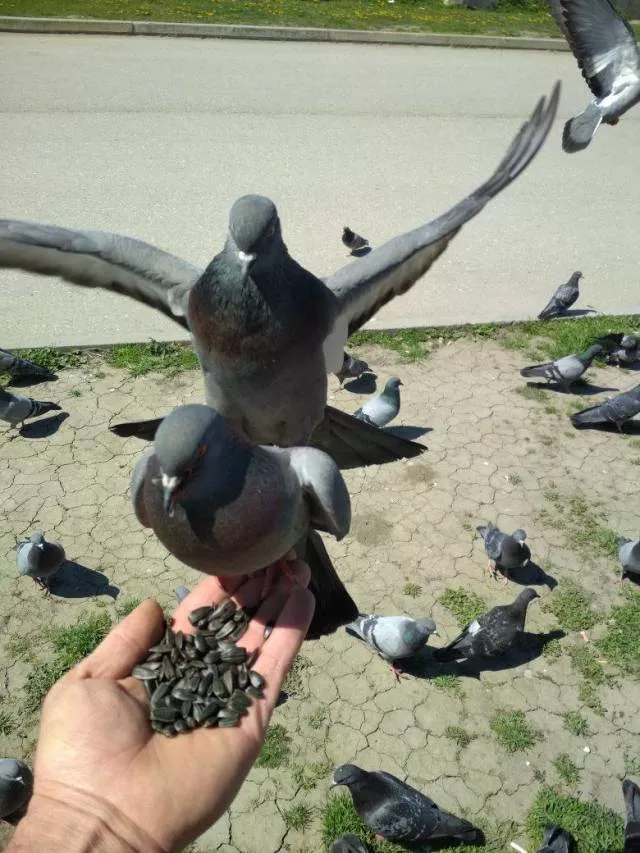 Picdump 377 - #35 