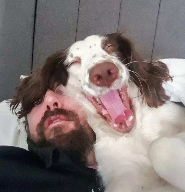 Picdump 377 - #44 