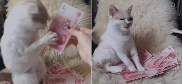 Picdump 377 - #46 